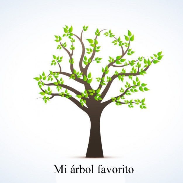 Mi árbol favorito
