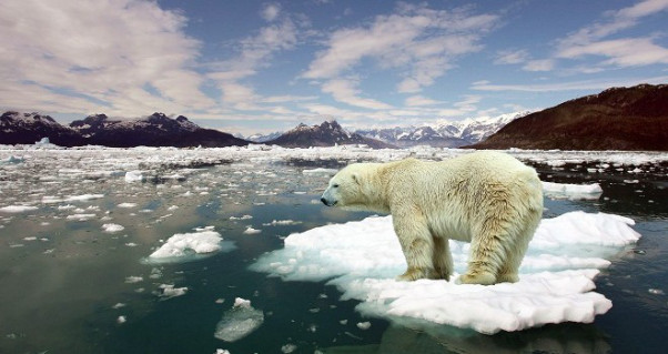 The thawing of the poles and their impressive effects
                            